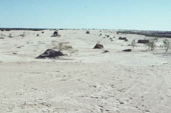 Lake Mungo lunette 1977